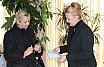 Dodela ulaznica za doček Nove 2018 godine 